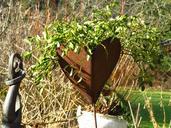 heart-sheet-flowerpot-mistletoe-80223.jpg