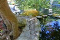 Koi pond - Isamu Taniguchi Japanese Garden - Zilker Botanical Garden - Austin, Texas - DSC09055.jpg