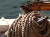 sailing-old-rig-sea-water-660915.jpg