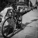 paris-street-bicycle-light-sun-880763.jpg