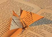 book-origami-paper-folded-fold-58444.jpg