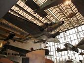 airplanes-smithsonian-aircraft-286345.jpg