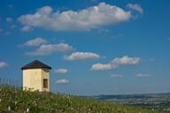 vineyard-hut-grapes-refuge-barn-477990.jpg