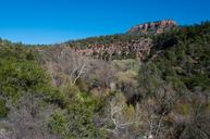 Fossil_Springs_Trail_No._18.jpg