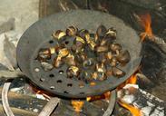 chestnuts-stove-fireplace-grill-985161.jpg