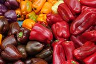 peppers-fresh-vegetables-red-green-1239791.jpg