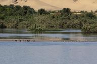 nile-egypt-tranquil-river-441539.jpg