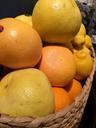 orange-spring-color-citrus-fruit-655948.jpg