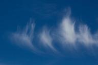 cirrus-clouds-clouds-blue-sky-207534.jpg