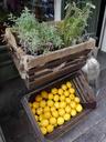 lemons-market-rosemary-1263380.jpg