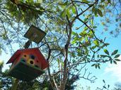 birdhouse-tree-wooden-decoration-401706.jpg