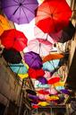 umbrella-colorful-happiness-outdoor-1511871.jpg