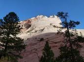 zion-national-park-utah-usa-rock-208852.jpg