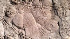 sand-trails-beach-animal-trails-623924.jpg