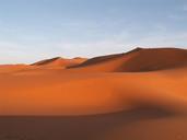 travel-morocco-erfoud-sand-dune-857086.jpg