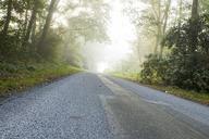 landscape-fog-road-early-morning-1708383.jpg