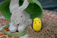 egg-easter-easter-bunny-colorful-491674.jpg