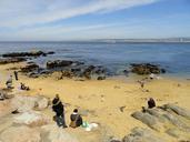 Beach - Monterey, CA - DSC06774.JPG