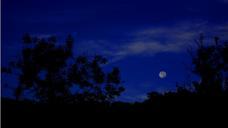 full-moon-full-moon-dark-blue-sky-735509.jpg