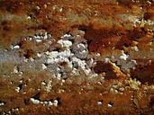 rust-flaky-white-paint-crusty-rust-176909.jpg