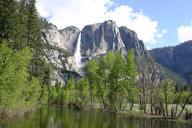 yosemite-forest-nature-trees-tree-682880.jpg