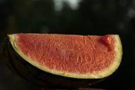 watermelon-melon-fruit-food-395822.jpg