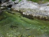 water-torrent-mountain-river-stone-646418.jpg