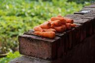 carrots-still-life-vegetable-573680.jpg