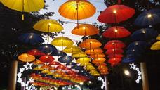 umbrella-night-sky-park-965431.jpg