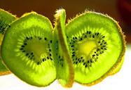 kiwi-fruit-disc-frisch-cut-953995.jpg