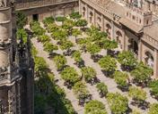 Orange trees courtyard cathedral from Giralda Seville Spain.jpg