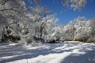 snow-field-spring-stone-wall-sunny-1275519.jpg