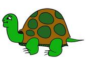 animal-cartoon-elements-turtle-1293135.svg