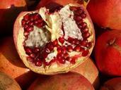 pomegranate-fruit-apple-frisch-cut-1075977.jpg