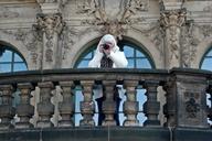 kennel-photographer-baroque-balcony-1002956.jpg