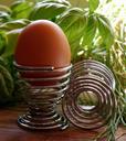 egg-holder-eggcup-shell-raw-498630.jpg