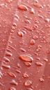 rain-raindrop-umbrella-red-wet-402383.jpg