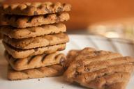 biscuits-chocolate-chips-cookies-390662.jpg