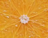 orange-citrus-fruit-pulp-juicy-453452.jpg