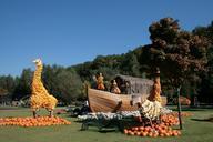 thanksgiving-september-pumpkin-sun-467016.jpg