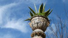 flowerpot-plant-decoration-ceramic-90029.jpg