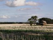 fields-northern-germany-landscape-427079.jpg