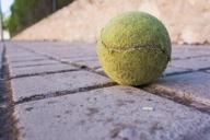 tennis-ball-sidewalk-soil-game-501480.jpg