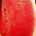 watermelon-melon-citrullus-lanatus-331285.jpg