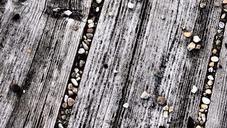 wood-nature-path-garden-stone-664163.jpg