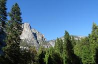 valley-vegetation-incense-cedar-1049582.jpg