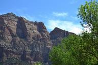 zion-national-park-usa-utah-tree-356214.jpg