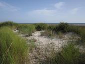 dune-sand-beach-summer-wind-sun-1241259.jpg