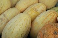 melon-market-summer-harvest-fruit-890054.jpg