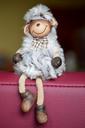 sheep-funny-cute-cheerful-669938.jpg